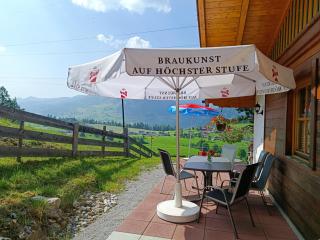 Apartment Haus Klingspitz Pilzegg - Embach - 1