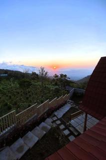 Munduk Terrace - Munduk - 9