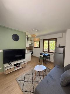SOH Rent Strasbourg appartement wifi terrasse - Straßburg - 3