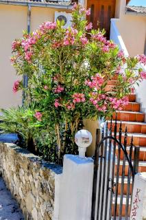 Apartments by the sea Kampor, Rab - 24630 - 9