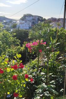 Apartments by the sea Kampor, Rab - 24630 - 6