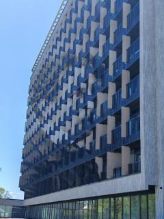Pušų natos - Druskininkai - 9