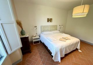Podere di Montecchio - Le Andane - Tavarnuzze - 6