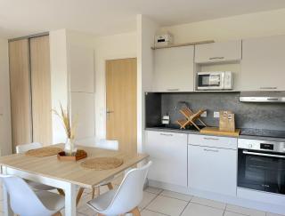 Nice studio Lucie Aubrac - Annecy - 0