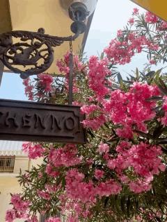 Hotel Chenno - Subbiano - 2