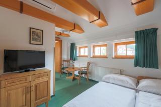 Hotel Mlýn - Český Krumlov - 6