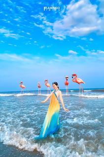 Flamingo Ibiza Hải Tiến Luxury Stay - Thanh Hóa - 2