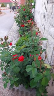 Vila Nina - - 1