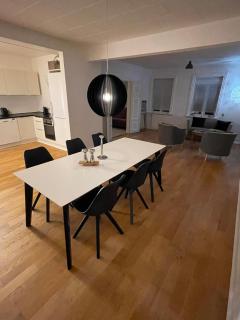 Villa - private parking - Holsted - 9