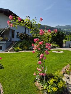 Apartment Familie Grünauer - Sankt Johann im Pongau - 9