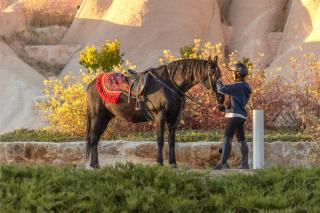 Sakura Hotel Cappadocia by AJWA - Nevşehir - 7