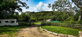 Springfield Oaks campsite - - 0
