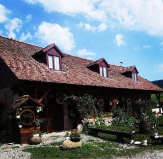 Pensiunea Elena - Criţ - 9