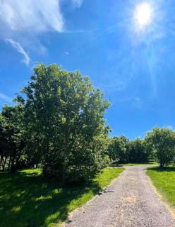 Springfield Oaks campsite - - 5