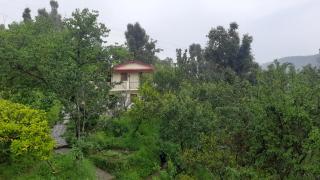 Parwati Orchard Homestay - Nainital - 9