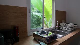 Yellow Jungle House - 7