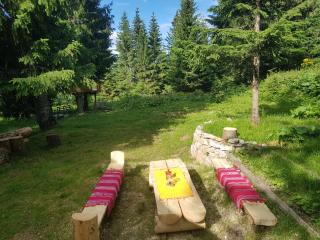 Snow Angel Jahorina - 7