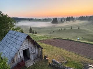 Domacinstvo Obradovic Nadgora - 7