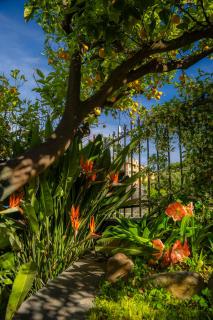 Villa Mafalda - Pietra Ligure - 1