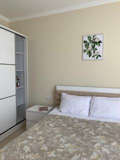 Comfortable apartment with panoramic windows - 4