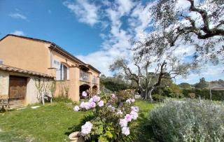 Villa les seringas - Mougins - 8