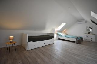 Gőzhajó Loft - Családi ház terasszal, 2 fürdőszobával, kerékpárral - Szentendre - 2