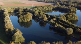 Le Clos des chênes rouges - - 1