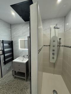 Charmant appartement hyper-centre de Nancy - 4