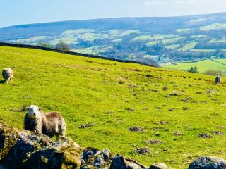 Fox Cottage - Historic Stay on Pateley High Street - Pateley Bridge - 1