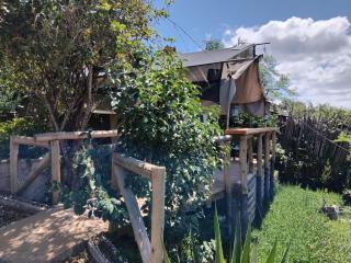 Mua Hills Tented Camp - Katelembu - 7