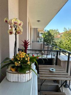 Kapana Luxury City Center Apartments with Garage - 5