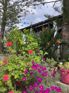 Bed and Breakfast Il Sogno Sardo - 5