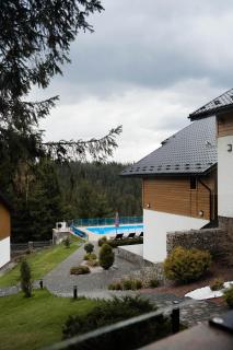 Gogodz Chalet Resort - Yablunytsya - 9