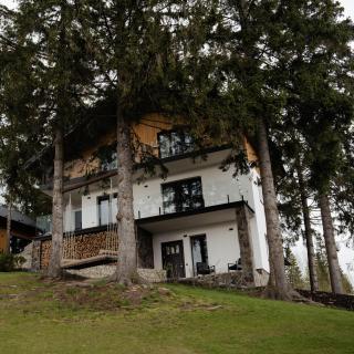 Gogodz Chalet Resort - 8