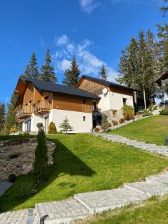 Gogodz Chalet Resort - Yablunytsya - 7