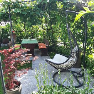 APARTMA LAMBERGER - Žirovnica - 7