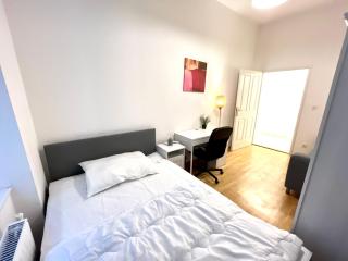Charming Fully Furnished Apartment in Vienna - Vienne - 6