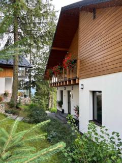 Gogodz Chalet Resort - Yablunytsya - 6