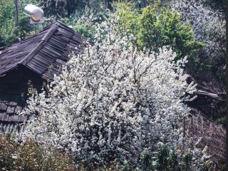 Pi Nọong Homestay - - 6