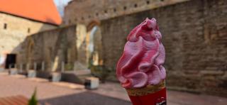 Stiftung Kloster und Kaiserpfalz Memleben - - 2