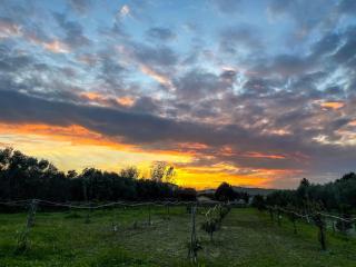 Villa Claudia - Appartamento B - 3