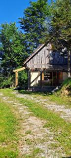 Vegetarian Forest Escape - Hiška na soncu - Gorenja Trebuša - 9