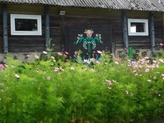 Prienų vienkiemis - 3