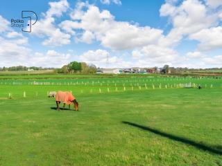 No 3 PolkaStays Ivy Farm Coach House Family Suite - - 9