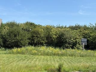 Casita Wijchen Tiny house - Wijchen - 9
