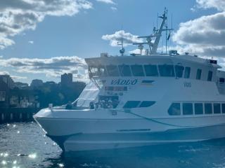 Central penthouse rooms near ferry, bus, nature - Vaxholm - 4