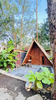 Triangle House and hot spring - 0