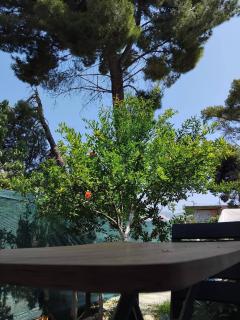 Tonia&Sion - Vlorë - 5