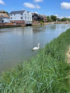 Dove Cottage is a Central, Riverside, Charming Victorian Cottage - Arundel - 7