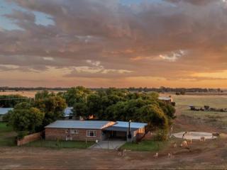 Anna Africa Guest House - Bloemfontein - 9